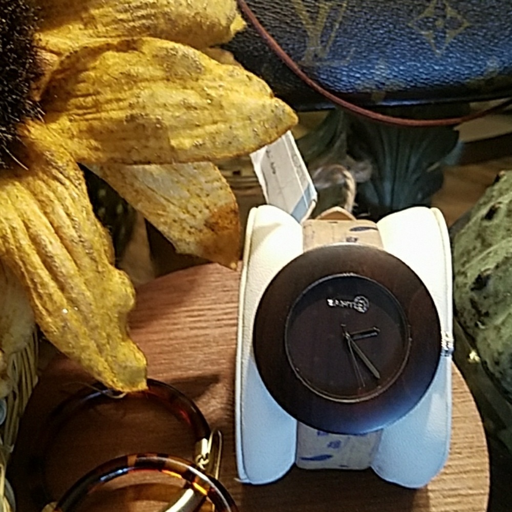 Earth Watch